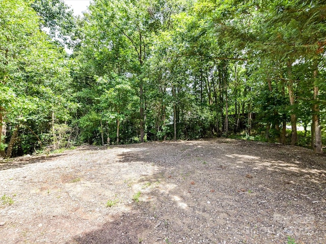 1117 Hidden Brook Ln, Clover, SC 29710 - view of woods