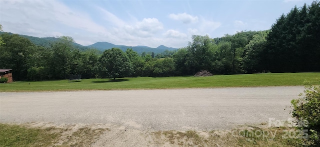 67 Brown Lynch Rd, Candler, NC 28715 - view of mountain backdrop featuring a heavily wooded area
