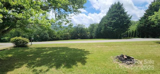 67 Brown Lynch Rd, Candler, NC 28715 - view of grassy yard