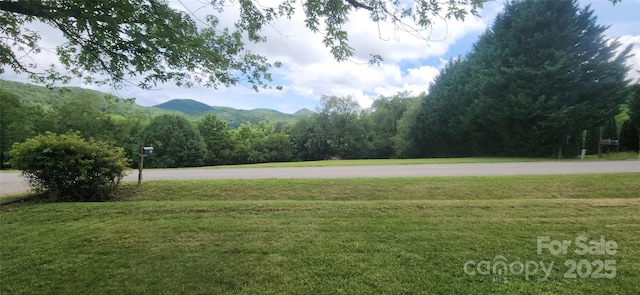 67 Brown Lynch Rd, Candler, NC 28715 - view of grassy yard featuring a mountain view