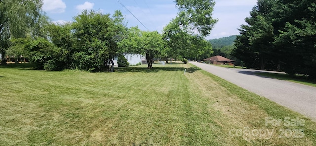 67 Brown Lynch Rd, Candler, NC 28715 - view of grassy yard