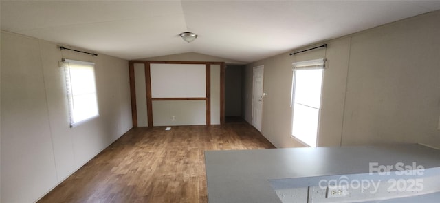 67 Brown Lynch Rd, Candler, NC 28715 - spare room with vaulted ceiling, wood finished floors, and healthy amount of natural light