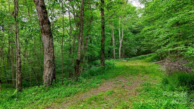 233 Woodland Springs Trl Unit 14, Boone, NC 28607