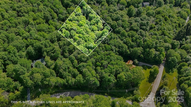 233 Woodland Springs Trl Unit 14, Boone, NC 28607