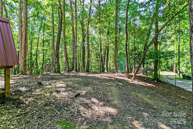 24 Hallelujah Holw, Pisgah Forest, NC 28768 - photo 36