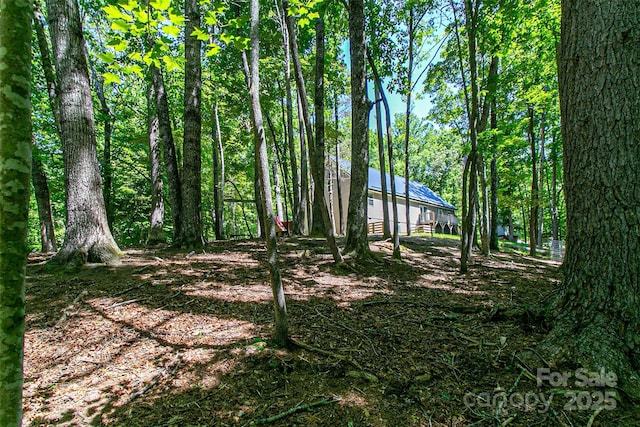 24 Hallelujah Holw, Pisgah Forest, NC 28768 - photo 37