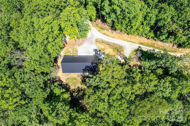 24 Hallelujah Holw, Pisgah Forest, NC 28768 - photo 39