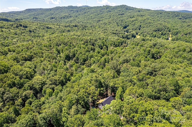 24 Hallelujah Holw, Pisgah Forest, NC 28768 - photo 40