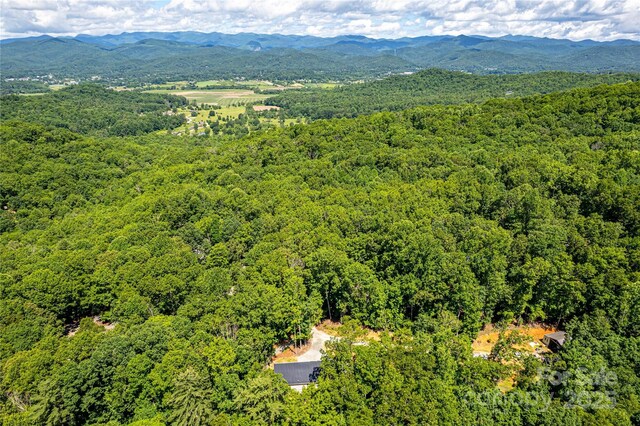 24 Hallelujah Holw, Pisgah Forest, NC 28768 - photo 41