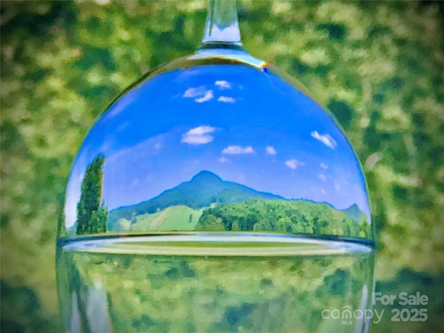 214 River Knoll Dr, Jefferson, NC 28640 - view of mountain backdrop