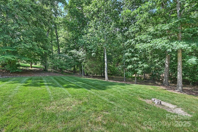 3284 Millstone Creek Rd, Lancaster, SC 29720 - photo 46