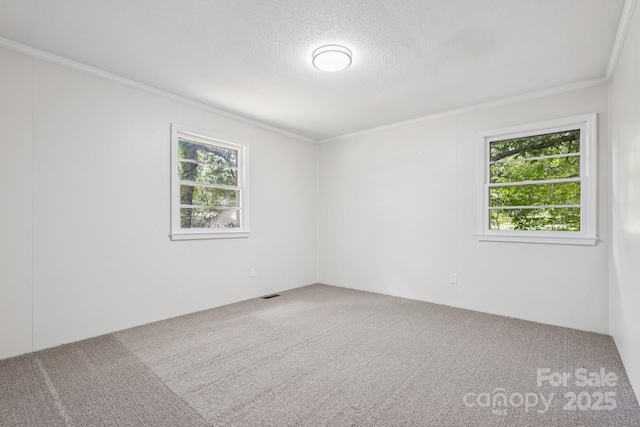 613 Davis St, Lancaster, SC 29720 - spare room featuring carpet flooring, plenty of natural light, crown molding, and a textured ceiling