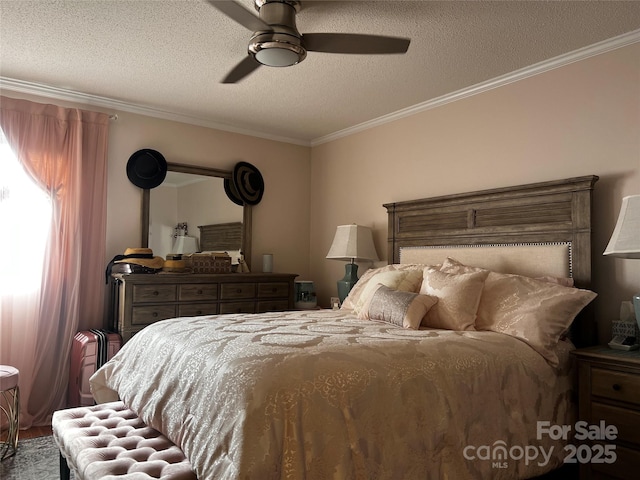 140 Lake Concord Rd NE, Concord, NC 28025 - bedroom featuring crown molding, a textured ceiling, and ceiling fan