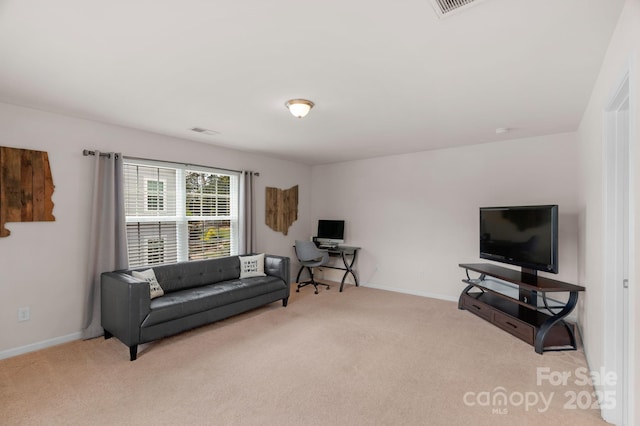 3701 Methodist Church Ln, Waxhaw, NC 28173 - living area featuring carpet flooring and baseboards