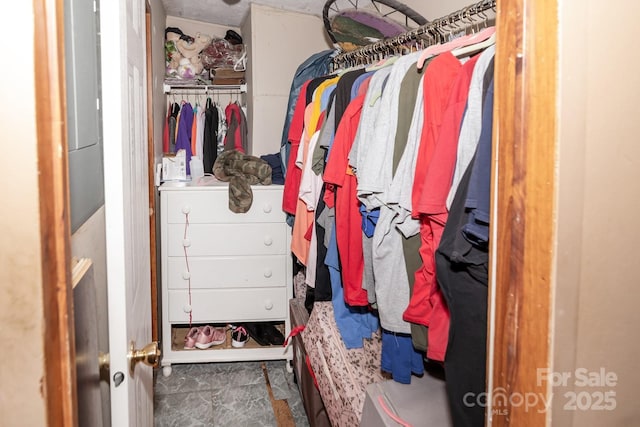 401 Webb Church Rd, Ellenboro, NC 28040 - view of spacious closet