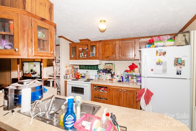 401 Webb Church Rd, Ellenboro, NC 28040 - kitchen with white appliances, under cabinet range hood, light countertops, brown cabinets, and a textured ceiling