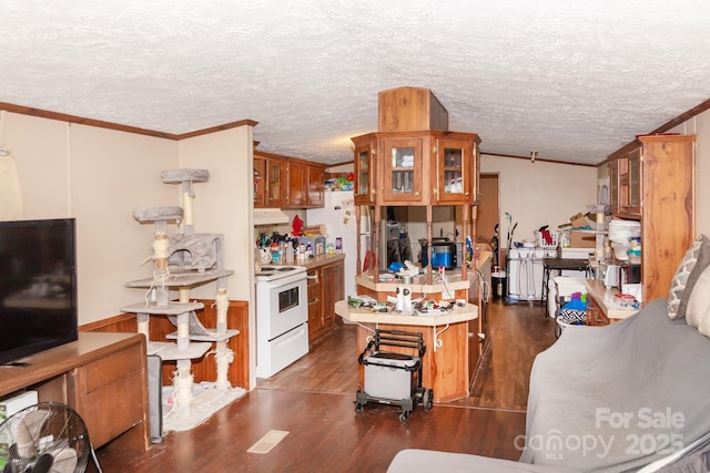 401 Webb Church Rd, Ellenboro, NC 28040 - kitchen with white appliances, brown cabinetry, crown molding, under cabinet range hood, and dark wood-style floors