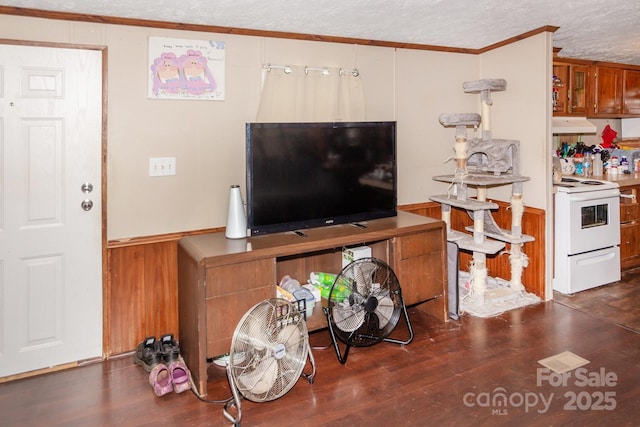 401 Webb Church Rd, Ellenboro, NC 28040 - living room with a textured ceiling, wood finished floors, a wainscoted wall, ornamental molding, and wood walls