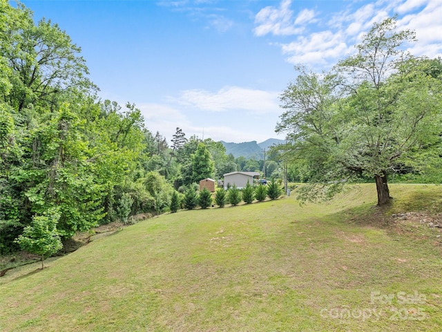 229 Yellow Bird Branch Rd, Sylva, NC 28779 - view of green lawn featuring a mountain view