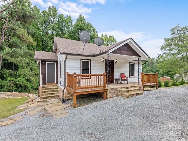 229 Yellow Bird Branch Rd, Sylva, NC 28779 - view of front of home featuring roof with shingles