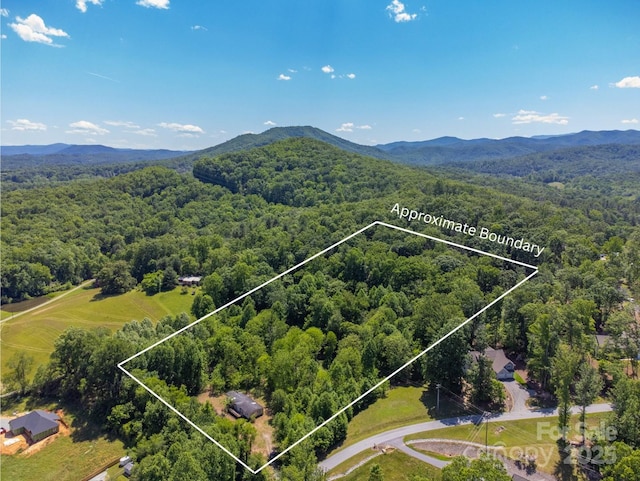 27 Shep Dr, Mills River, NC 29759 - photo 1