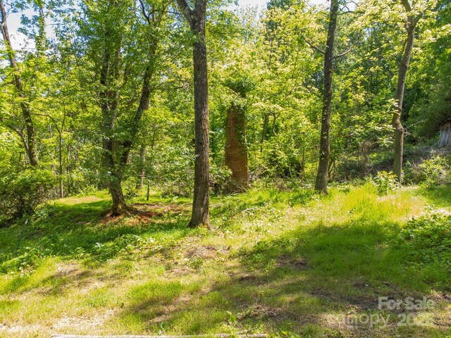 27 Shep Dr, Mills River, NC 29759 - photo 5