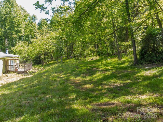 27 Shep Dr, Mills River, NC 29759 - photo 6