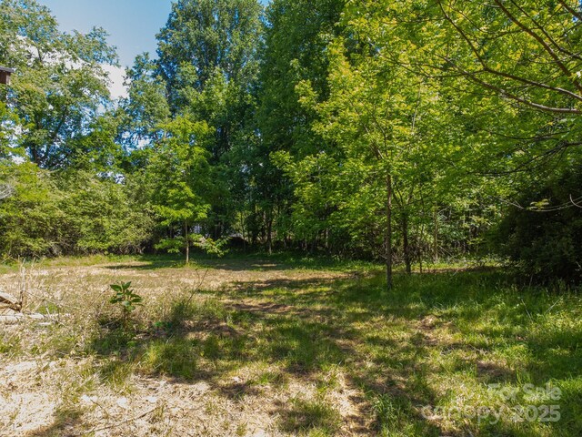 27 Shep Dr, Mills River, NC 29759 - photo 7