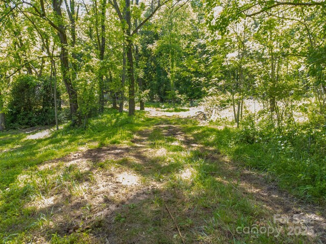 27 Shep Dr, Mills River, NC 29759 - photo 8
