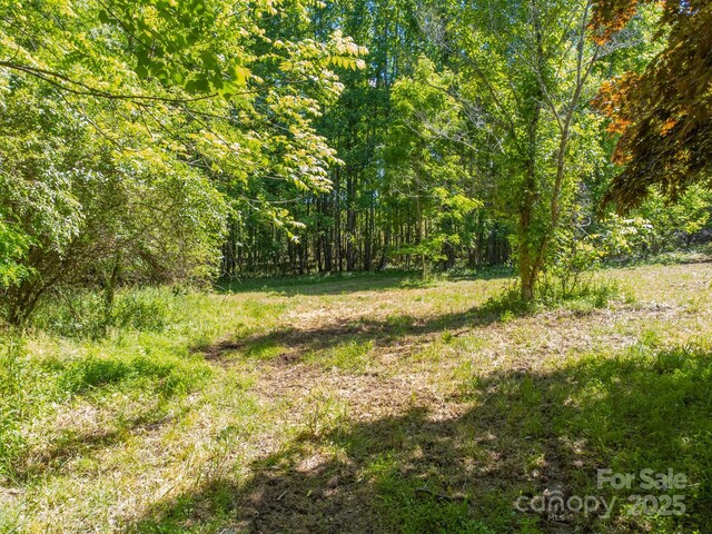 27 Shep Dr, Mills River, NC 29759 - photo 10