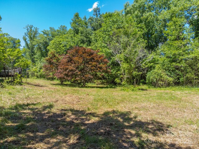 27 Shep Dr, Mills River, NC 29759 - photo 11