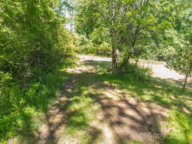 27 Shep Dr, Mills River, NC 29759 - photo 12