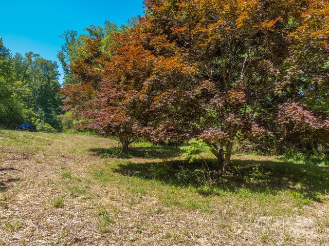 27 Shep Dr, Mills River, NC 29759 - photo 13
