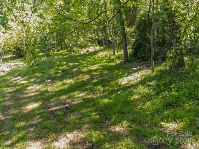 27 Shep Dr, Mills River, NC 29759 - photo 14