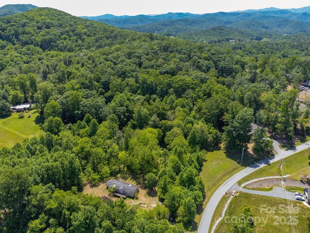 27 Shep Dr, Mills River, NC 29759 - photo 16