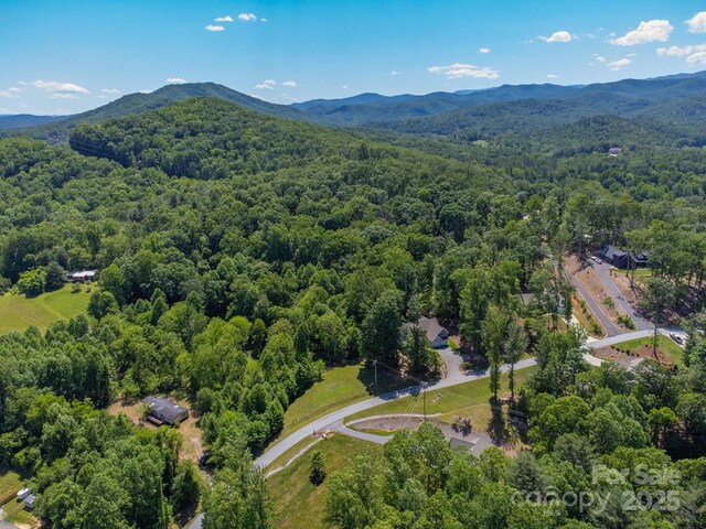 27 Shep Dr, Mills River, NC 29759 - photo 17