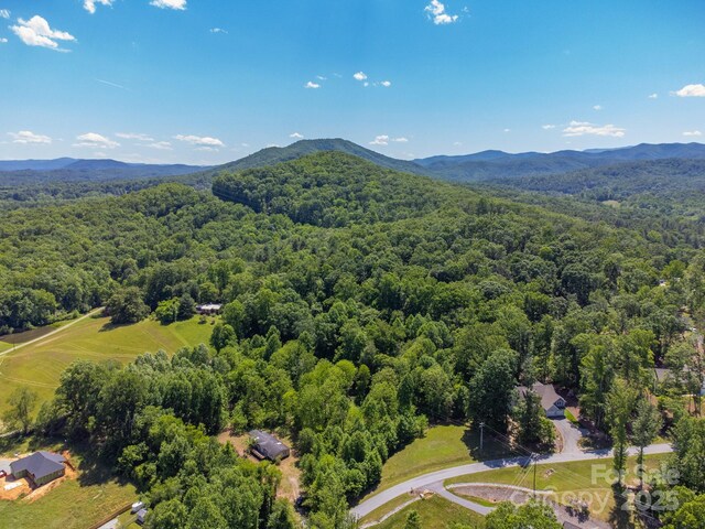 27 Shep Dr, Mills River, NC 29759 - photo 18
