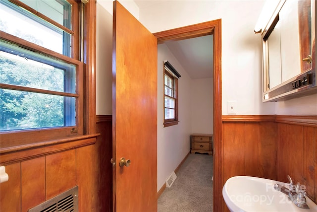 1145 Craigbrow Cir, Chester, SC 29706 - bathroom with healthy amount of natural light, wainscoting, and wood walls