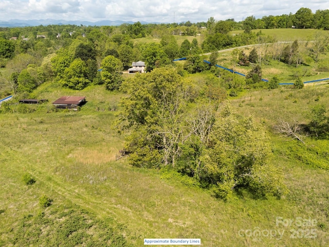 56 Gill Branch Rd, Weaverville, NC 28787 - photo 5