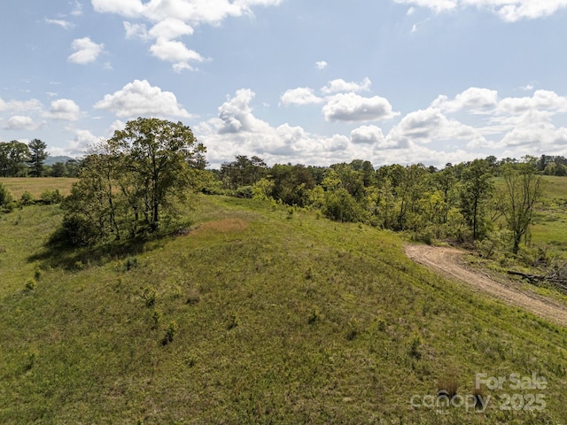 56 Gill Branch Rd, Weaverville, NC 28787 - photo 6
