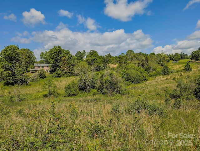 56 Gill Branch Rd, Weaverville, NC 28787 - photo 10