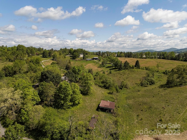 56 Gill Branch Rd, Weaverville, NC 28787 - photo 33