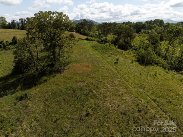 56 Gill Branch Rd, Weaverville, NC 28787 - photo 34