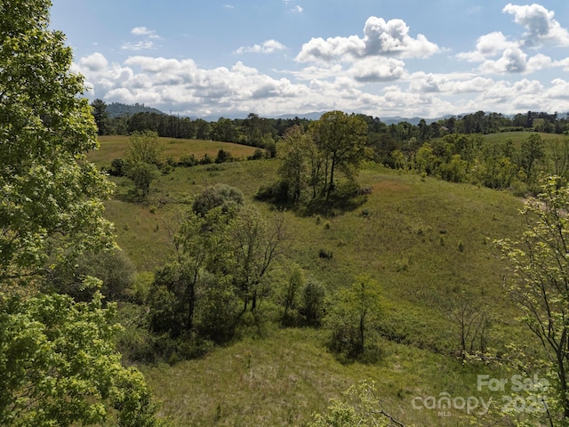 56 Gill Branch Rd, Weaverville, NC 28787 - photo 35
