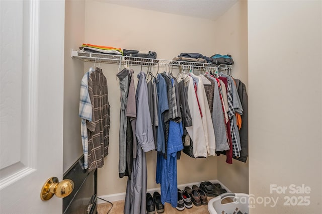 8119 Tremaine Ct Unit E, Charlotte, NC 28227 - view of spacious closet