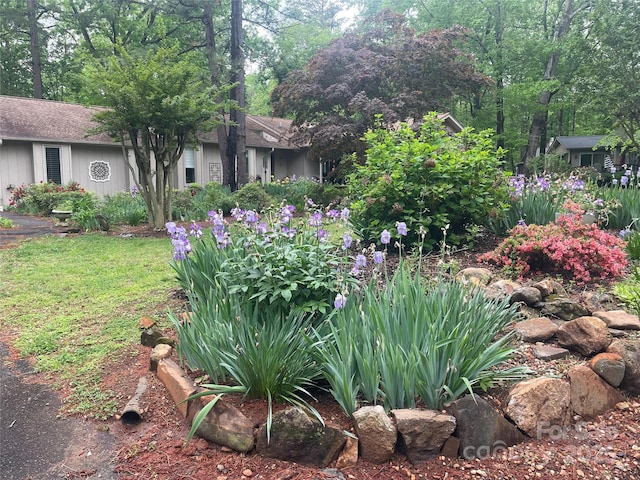 55 Diamond Ridge Ln, Columbus, NC 28722 - view of yard