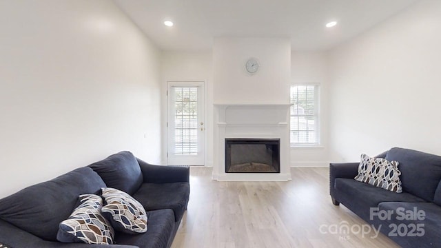 6825 Woodleaf Rd, Woodleaf, NC 27054 - living area featuring plenty of natural light, wood finished floors, a glass covered fireplace, and recessed lighting