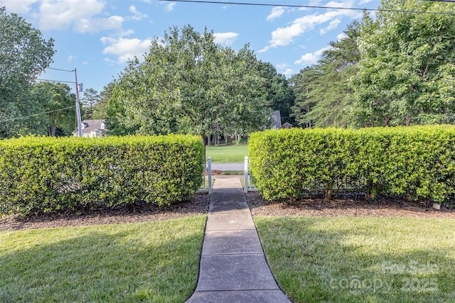 7344 Gilead Rd, Huntersville, NC 28078 - view of community featuring a lawn