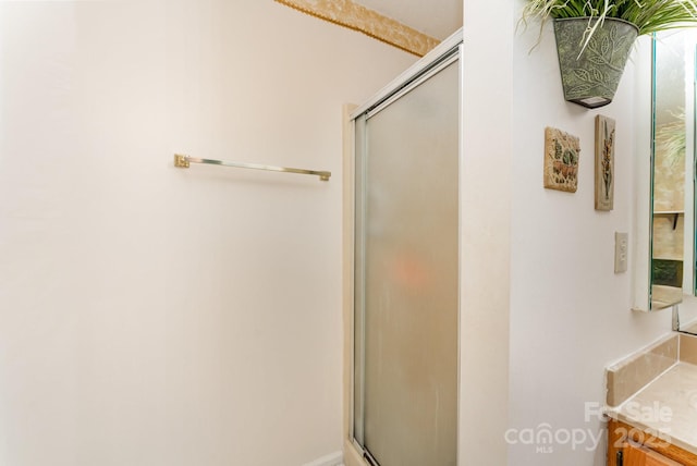 8701 Appaloosa Way Ln, Charlotte, NC 28216 - bathroom with a shower with door and vanity
