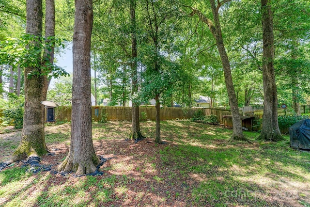8701 Appaloosa Way Ln, Charlotte, NC 28216 - view of yard